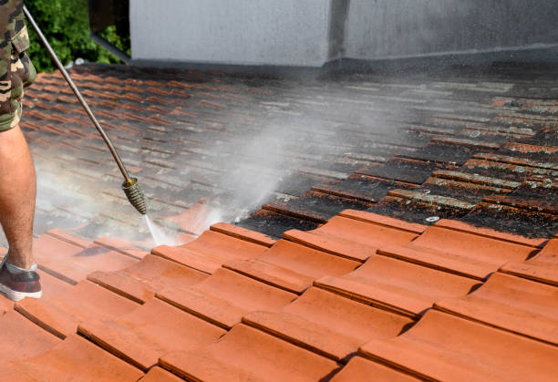 Best Pressure Washing Patio  in La Harpe, IL