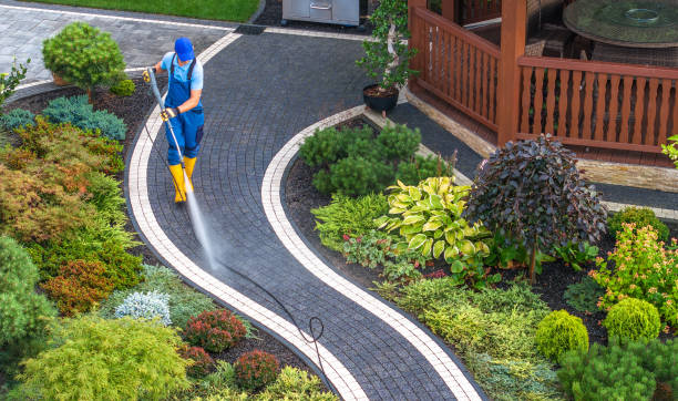 Best Deck Cleaning Services  in La Harpe, IL