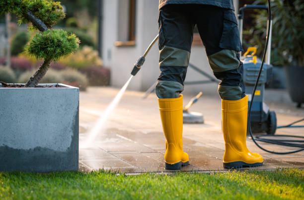 Best Affordable Pressure Washing  in La Harpe, IL
